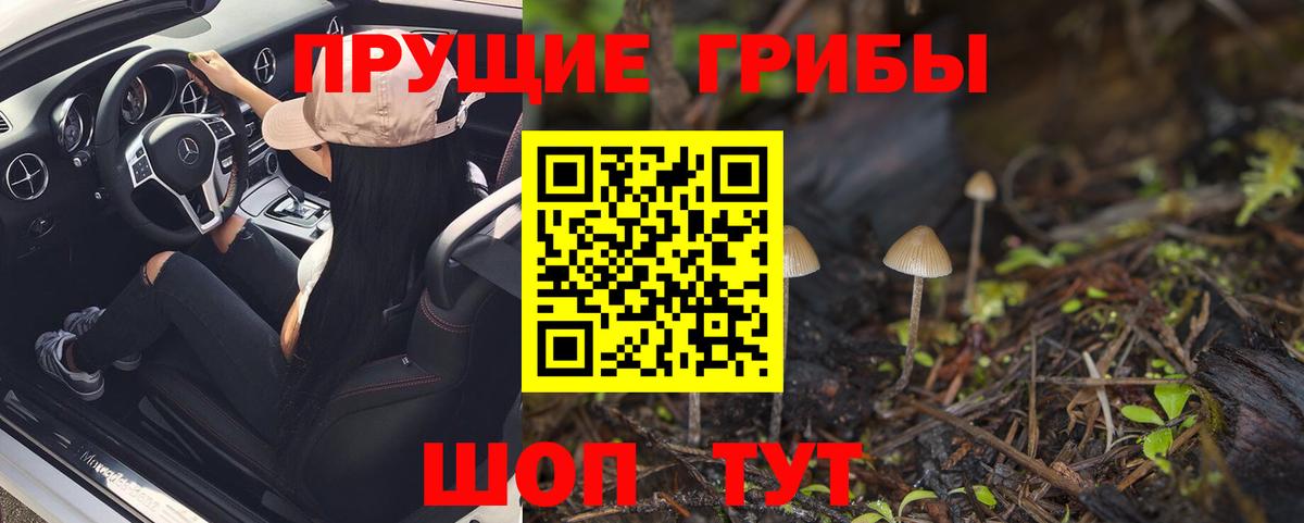 купить   Вход с VPN  Радужный  Псилоцибиновые грибы Psilocybe 